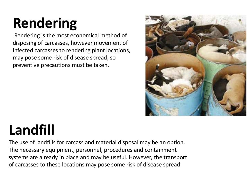 The way to dispose off spoiled meat