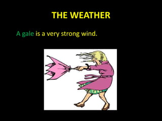 THE WEATHER
A gale is a very strong wind.
 