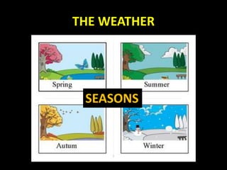 THE WEATHER
SEASONS
 