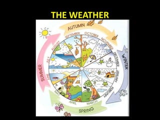 THE WEATHER
 