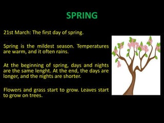 SPRING
21st March: The first day of spring.
Spring is the mildest season. Temperatures
are warm, and it often rains.
At the beginning of spring, days and nights
are the same lenght. At the end, the days are
longer, and the nights are shorter.
Flowers and grass start to grow. Leaves start
to grow on trees.
 