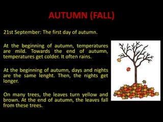AUTUMN (FALL)
21st September: The first day of autumn.
At the beginning of autumn, temperatures
are mild. Towards the end of autumn,
temperatures get colder. It often rains.
At the beginning of autumn, days and nights
are the same lenght. Then, the nights get
longer.
On many trees, the leaves turn yellow and
brown. At the end of autumn, the leaves fall
from these trees.
 