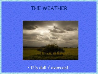 THE WEATHER
• It’s dull / overcast.
 