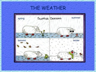 THE WEATHER
spring summer
autumn winter
 