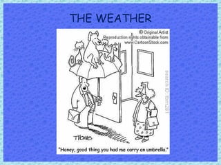 THE WEATHER
 