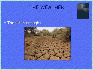 THE WEATHER There’s a drought. 