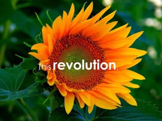 This revolution .