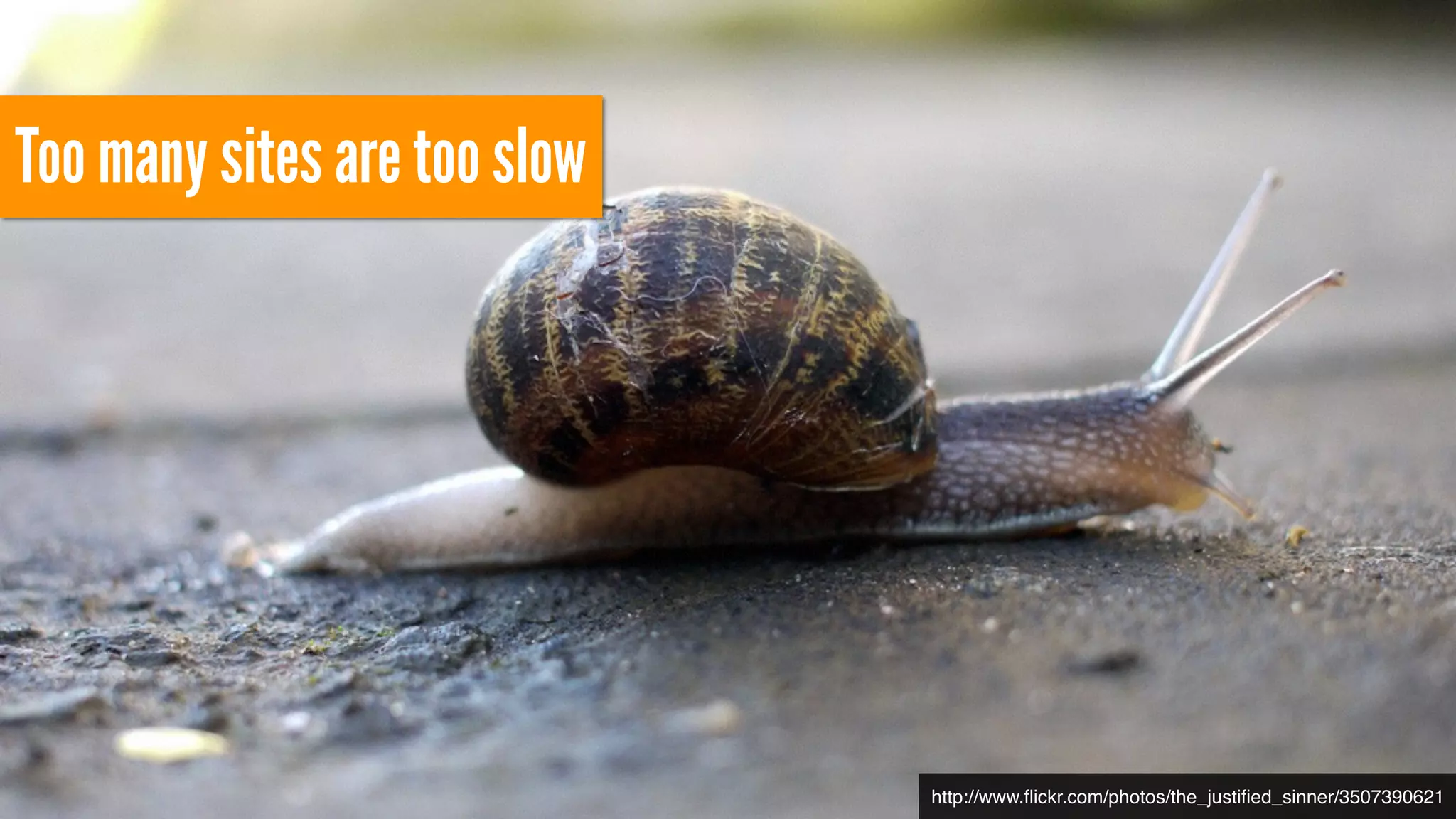 Too many sites are too slow 
http://www.flickr.com/photos/the_justified_sinner/3507390621 
 