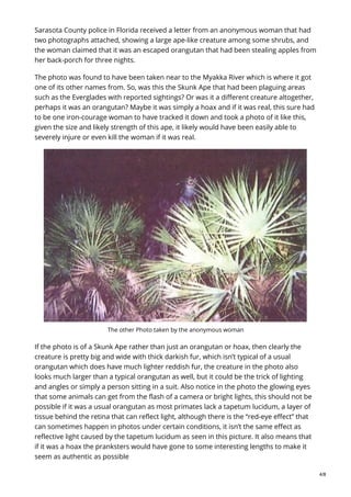 The Paranormal Alphabet S The Skunk Ape | PDF