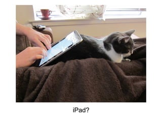 iPad?
 