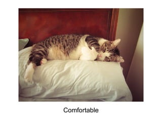 Comfortable
 