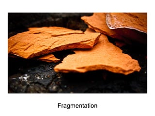 Fragmentation
 