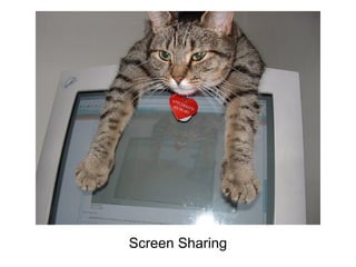 Screen Sharing
 