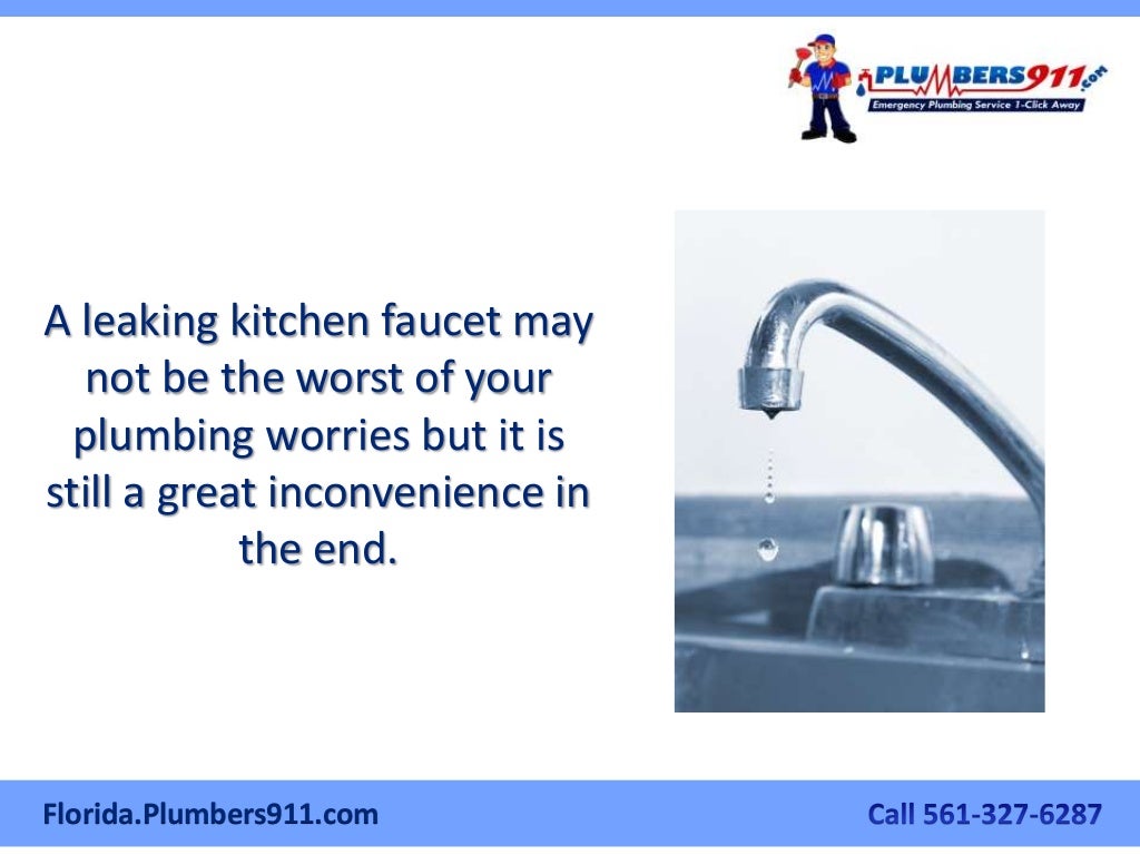 The West Palm Beach Plumber’s Manual On How To Fix A Leaky Kitchen Faucet