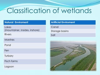Classification of wetlands
Natural Enviroment               Artificial Enviroment
Lakes                            Canal
(mountainer, insides, inshore)   Storage basins
Rivers                           Salt
Marshes

Pond

Fen

Turbary

Fisch farms

Lagoon
 