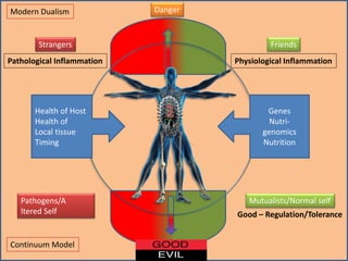 Danger
Good – Regulation/Tolerance
Mutualists/Normal self
Evil- Inflammation
Pathogens/A
ltered Self
Strangers
Pathological Inflammation
Friends
Physiological Inflammation
Health of Host
Health of
Local tissue
Timing
Genes
Nutri-
genomics
Nutrition
Modern Dualism
Continuum Model
 