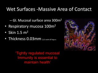 Wet Surfaces -Massive Area of Contact
– GI. Mucosal surface area 300m2
• Respiratory mucosa 100m2
• Skin 1.5 m2
• Thickness 0.03mm (1/2 width of 60gsm)
‘Tightly regulated mucosal
Immunity is essential to
maintain health’
 