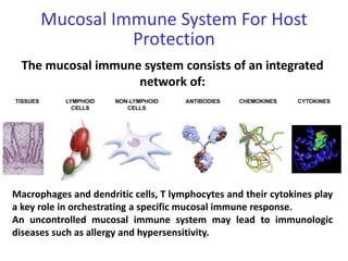 Mucosal Immune System For Host
Protection
The mucosal immune system consists of an integrated
network of:
Macrophages and dendritic cells, T lymphocytes and their cytokines play
a key role in orchestrating a specific mucosal immune response.
An uncontrolled mucosal immune system may lead to immunologic
diseases such as allergy and hypersensitivity.
 
