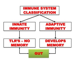 IMMUNE SYSTEM
CLASSIFICATION
INNATE
IMMUNITY
ADAPTIVE
IMMUNITY
TLR’S – NO
MEMORY
DEVELOPS
MEMORY
GUT
 