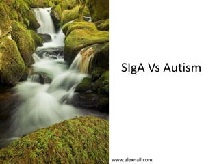 SIgA Vs Autism
www.alexnail.com
 