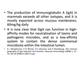 • The production of immunoglobulin A (IgA) in
mammals exceeds all other isotypes, and it is
mostly exported across mucous membranes.
60mg/kg daily
• It is now clear that SIgA can function in high-
affinity modes for neutralisation of toxins and
pathogenic microbes, and as a low-affinity
system to contain the dense commensal
microbiota within the intestinal lumen.
• A J Macpherson, K D McCoy, F-E Johansen and P Brandtzaeg. The immune
geography of IgA induction and function. Mucosal Immunology (2008) 1, 11–
22. doi:10.1038/mi.2007.6 Link
 