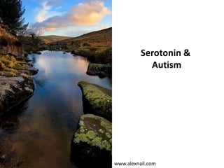 Serotonin &
Autism
www.alexnail.com
 