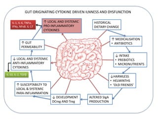 HISTORICAL
DIETARY CHANGE
↓ INTAKE
• PREBIOTICS
• MICRONUTRIENTS
↓HARMLESS
• HELMINTHS
• ‘OLD FRIENDS’
↓ DEVELOPMENT
DCreg AND Treg
↑ SUSCEPTABILTY TO
LOCAL & SYSTEMIC
PARA-INFLAMMATION
↑ GUT
PERMEABILITY
ALTERED SIgA
PRODUCTION
↑ LOCAL AND SYSTEMIC
PRO-INFLAMMATORY
CYTOKINES
↑ MEDICALISATION
• ANTIBIOTICS
GUT ORIGINATING CYTOKINE DRIVEN ILNNESS AND DYSFUNCTION
↓ LOCAL AND SYSTEMIC
ANTI-INFLAMMATORY
CYTOKINES
IL-1, IL-6, TNFα,
IFNγ, NFκB. IL-17
IL-10, IL-2, TGFβ
 
