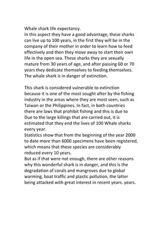 Whale shark life expectancy.
In this aspect they have a good advantage, these sharks
can live up to 100 years, in the first they will be in the
company of their mother in order to learn how to feed
effectively and then they move away to start their own
life in the open sea. These sharks they are sexually
mature from 30 years of age, and after passing 60 or 70
years they dedicate themselves to feeding themselves.
The whale shark is in danger of extinction.
This shark is considered vulnerable to extinction
because it is one of the most sought after by the fishing
industry in the areas where they are most seen, such as
Taiwan or the Philippines. In fact, in both countries
there are laws that prohibit fishing and this is due to
Due to the large killings that are carried out, it is
estimated that they end the lives of 100 Whale sharks
every year.
Statistics show that from the beginning of the year 2000
to date more than 6000 specimens have been registered,
which means that these species are considerably
reduced every 10 years.
But as if that were not enough, there are other reasons
why this wonderful shark is in danger, and this is the
degradation of corals and mangroves due to global
warming, boat traffic and plastic pollution, the latter
being attacked with great interest in recent years. years.
 