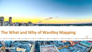The What and Why of Wardley Mapping
 