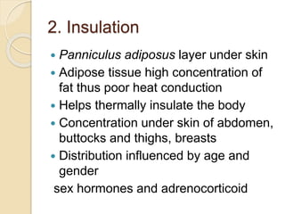 2. Insulation
 Panniculus adiposus layer under skin
 Adipose tissue high concentration of
fat thus poor heat conduction
 Helps thermally insulate the body
 Concentration under skin of abdomen,
buttocks and thighs, breasts
 Distribution influenced by age and
gender
sex hormones and adrenocorticoid
 