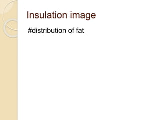 Insulation image
#distribution of fat
 
