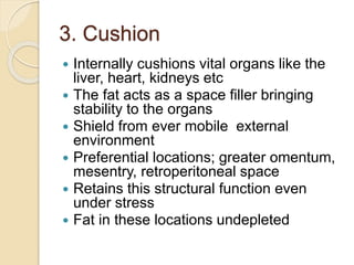 3. Cushion
 Internally cushions vital organs like the
liver, heart, kidneys etc
 The fat acts as a space filler bringing
stability to the organs
 Shield from ever mobile external
environment
 Preferential locations; greater omentum,
mesentry, retroperitoneal space
 Retains this structural function even
under stress
 Fat in these locations undepleted
 