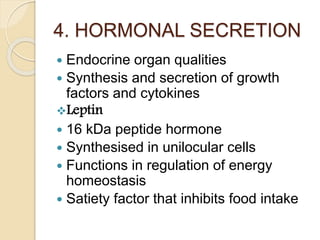 4. HORMONAL SECRETION
 Endocrine organ qualities
 Synthesis and secretion of growth
factors and cytokines
Leptin
 16 kDa peptide hormone
 Synthesised in unilocular cells
 Functions in regulation of energy
homeostasis
 Satiety factor that inhibits food intake
 