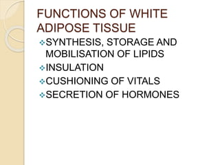 FUNCTIONS OF WHITE
ADIPOSE TISSUE
SYNTHESIS, STORAGE AND
MOBILISATION OF LIPIDS
INSULATION
CUSHIONING OF VITALS
SECRETION OF HORMONES
 