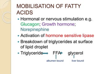 MOBILISATION OF FATTY
ACIDS
 Hormonal or nervous stimulation e.g.
Glucagon; Growth hormone;
Norepinephine
 Activation of hormone sensitive lipase
 Breakdown of triglycerides at surface
of lipid droplet
 Triglyceride FFA glycerol
albumen bound liver bound
 
