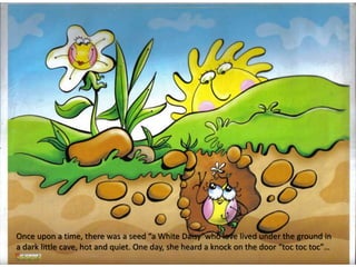 Once upon a time, there was a seed “a White Daisy”who love lived under the ground in
a dark little cave, hot and quiet. One day, she heard a knock on the door “toc toc toc”…
 