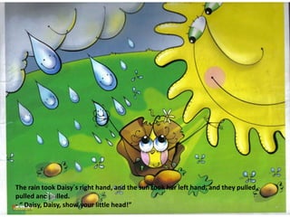 The rain took Daisy´s right hand, and the sun took her left hand, and they pulled,
pulled and pulled.
- “ Daisy, Daisy, show your little head!”
 