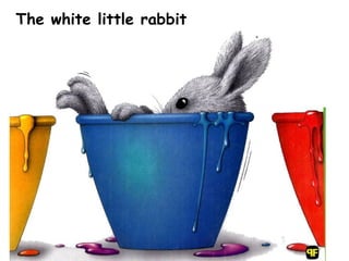 The white little rabbit 