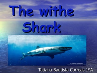 The withe
  Shark

    Tatiana Bautista Correas 1ºA
 
