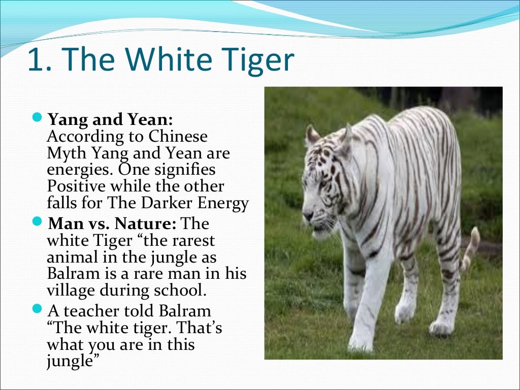 The White Tiger