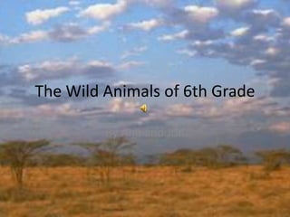 The Wild Animals of 6th Grade
By Ana and Jon
 