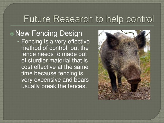 wild boar phd thesis