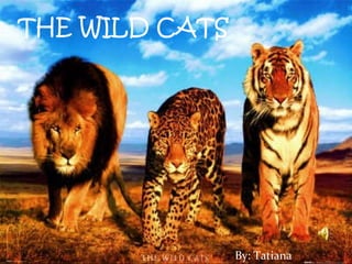THE WILD CATS By: Tatiana Obando 