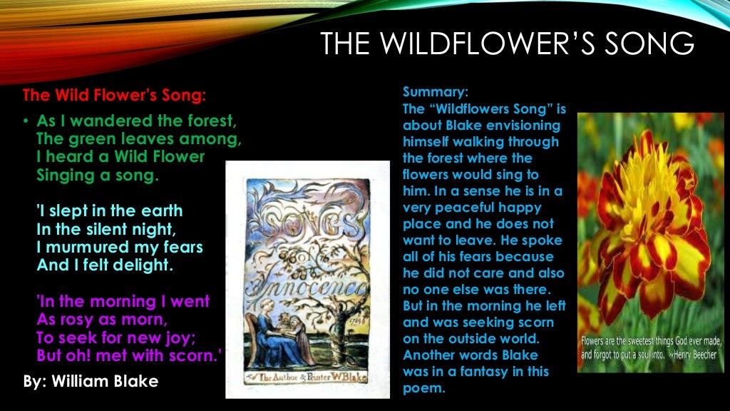 The wild flowers song