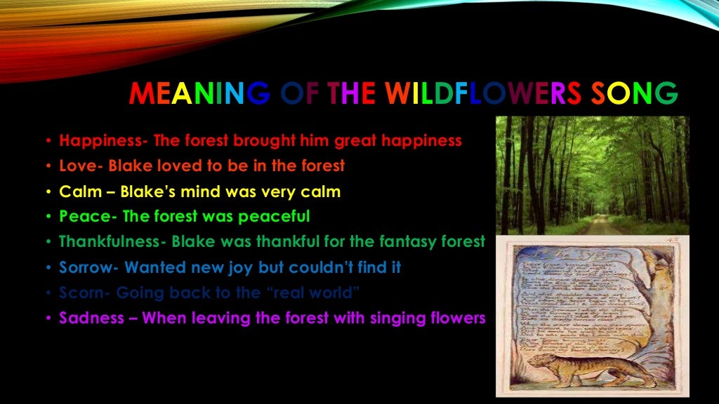 The wild flowers song