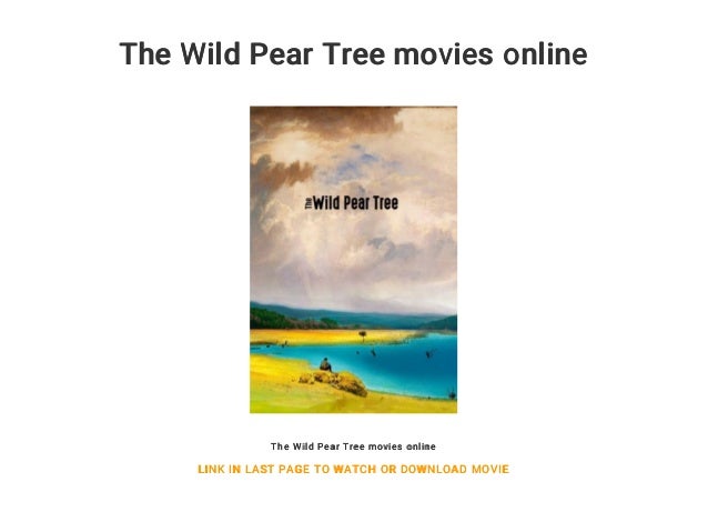 The Wild Pear Tree Movies Online