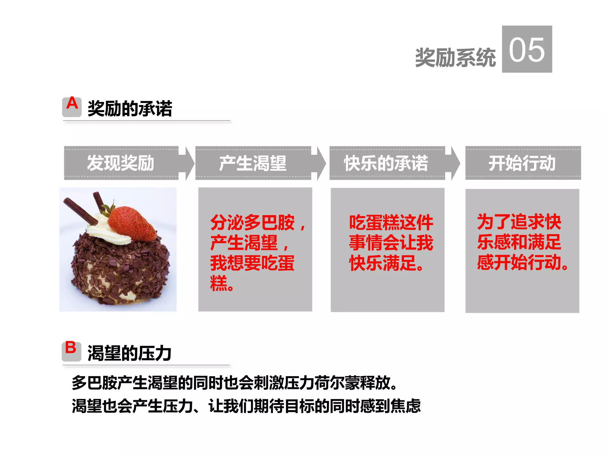 多巴胺产生渴望的同时也会刺激压力荷尔蒙释放。
渴望也会产生压力、让我们期待目标的同时感到焦虑
奖励系统 05
发现奖励 产生渴望
分泌多巴胺，
产生渴望，
我想要吃蛋
糕。
快乐的承诺
吃蛋糕这件
事情会让我
快乐满足。
开始行动
为了追求快
乐感和满足
感开始行动。
奖励的承诺A
渴望的压力B
 
