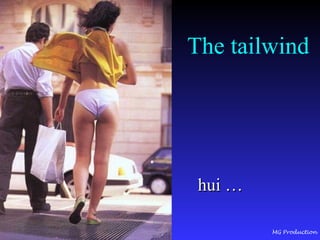 The tailwind hui …