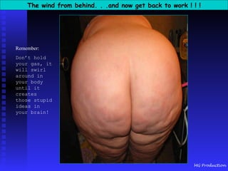 The wind from behind. . .and now get back to work ! ! ! Remember: Don’t hold your gas, it will swirl around in your body until it creates those stupid ideas in your brain!