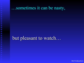 … sometimes it can be nasty, but pleasant to watch…